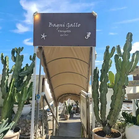 La Corte Del Gallo Quality Beb Nel