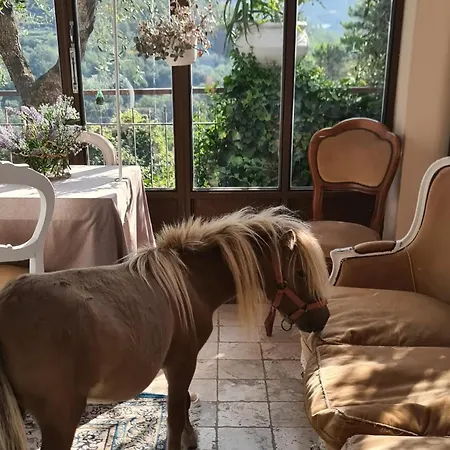 La Corte Del Gallo Quality Beb Nel Oda ve Kahvaltı