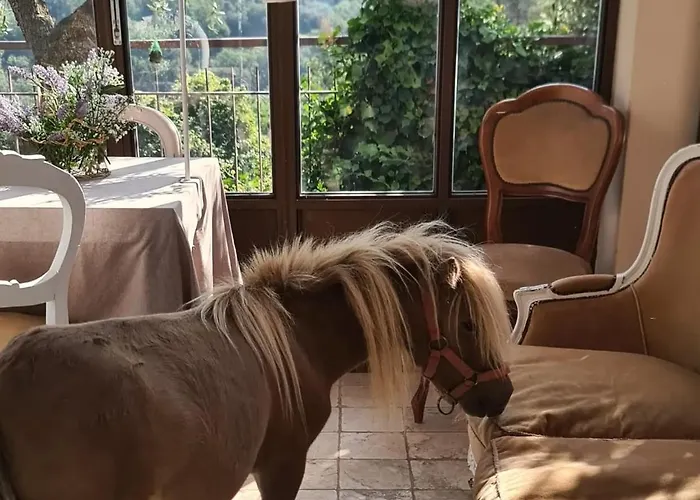 La Corte Del Gallo Quality Beb Nel Bed & Breakfast